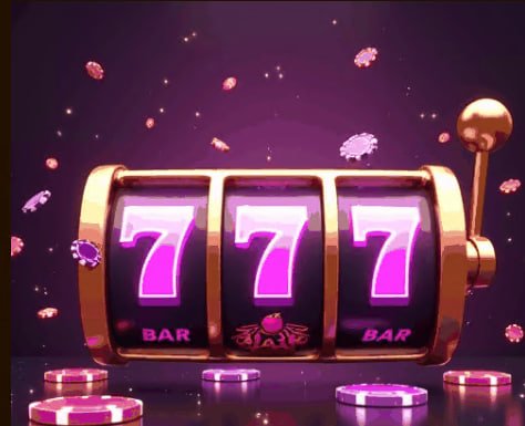 77ezbd